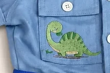 Dinossauros bordados