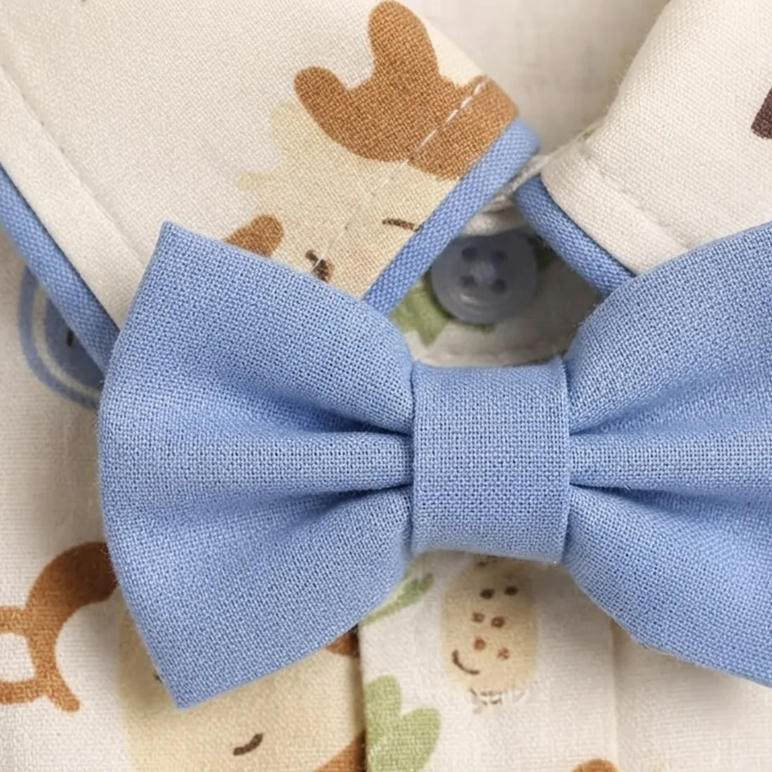 Gravata borboleta do conjunto